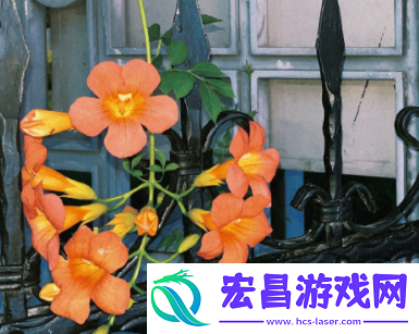 情断缘尽的伤感句子缘分已尽的忧伤短句