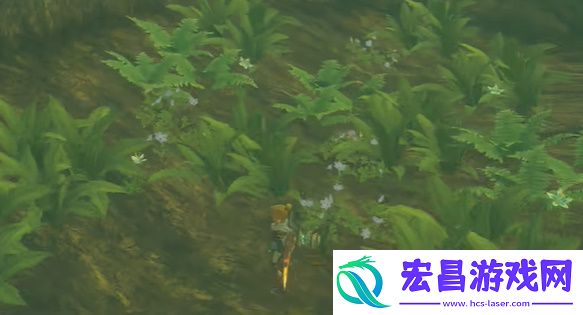 王国之泪克洛格族的布料怎么获得