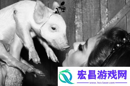 女人和公猪交交30