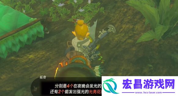 王国之泪克洛格族的布料怎么获得