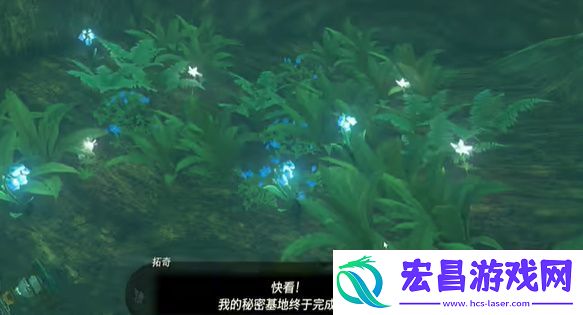 王国之泪克洛格族的布料怎么获得