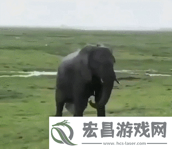 满