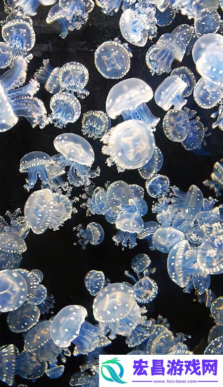 颜值出众的壁纸高清2023要一直都有好看的壁纸可以换