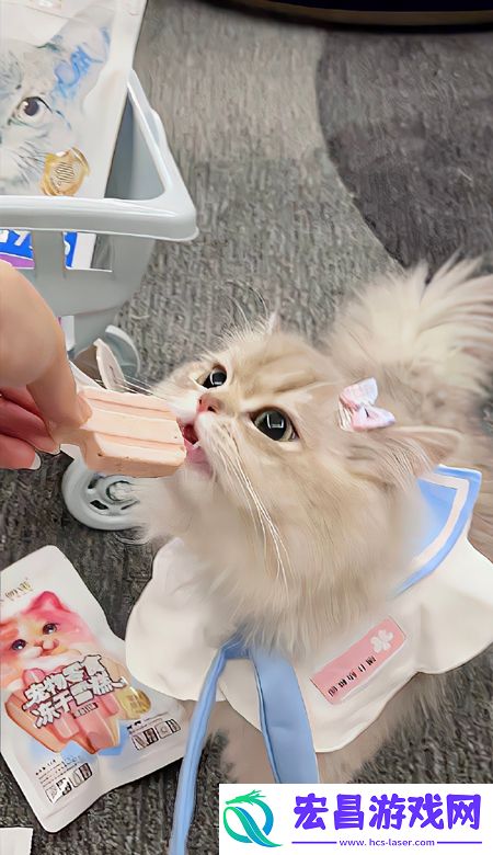 颜值出众的壁纸高清2023要一直都有好看的壁纸可以换