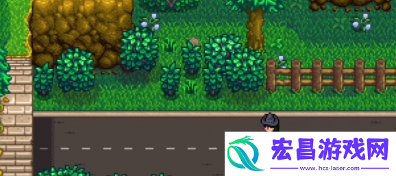星露谷物语神秘的齐任务怎么做