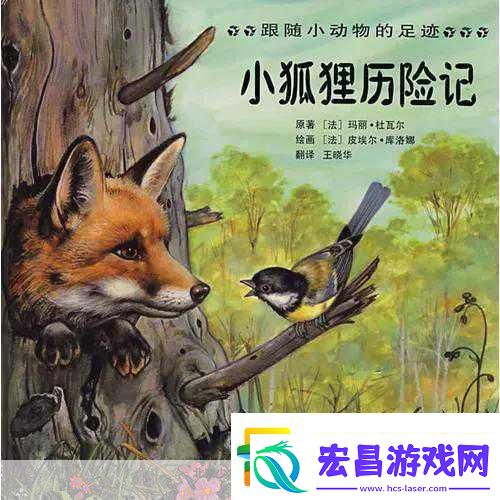 小狐狸冒险记大事件！全新活动及更新公告揭秘