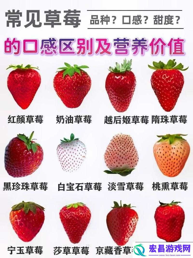 蜜丝婷大草莓与小草莓比较