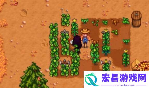 星露谷物语雕刻南瓜任务怎么做