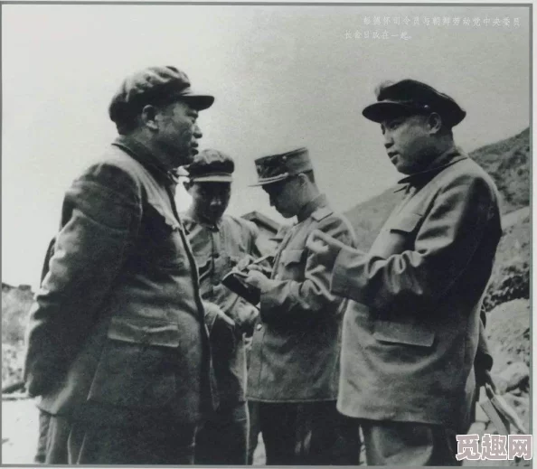 龙战于野手游
