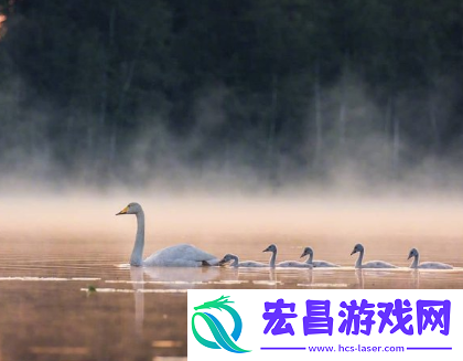 很有诗意的励志空间说说认准的路就别问多远