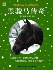 黑骡子1一8章最火的一句