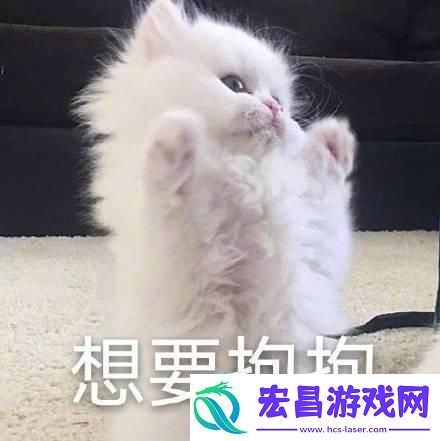 **焚身全球狂欢下的科技狂想曲