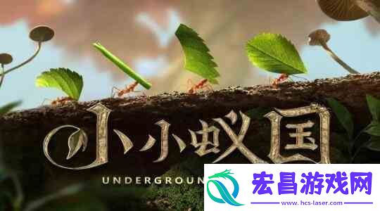 小小蚁国阵容如何搭配