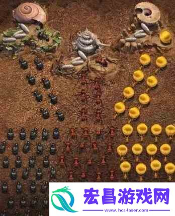 小小蚁国阵容如何搭配