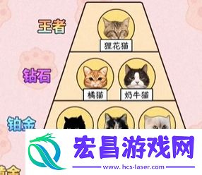 爆梗找茬王哈基米战力怎么通关