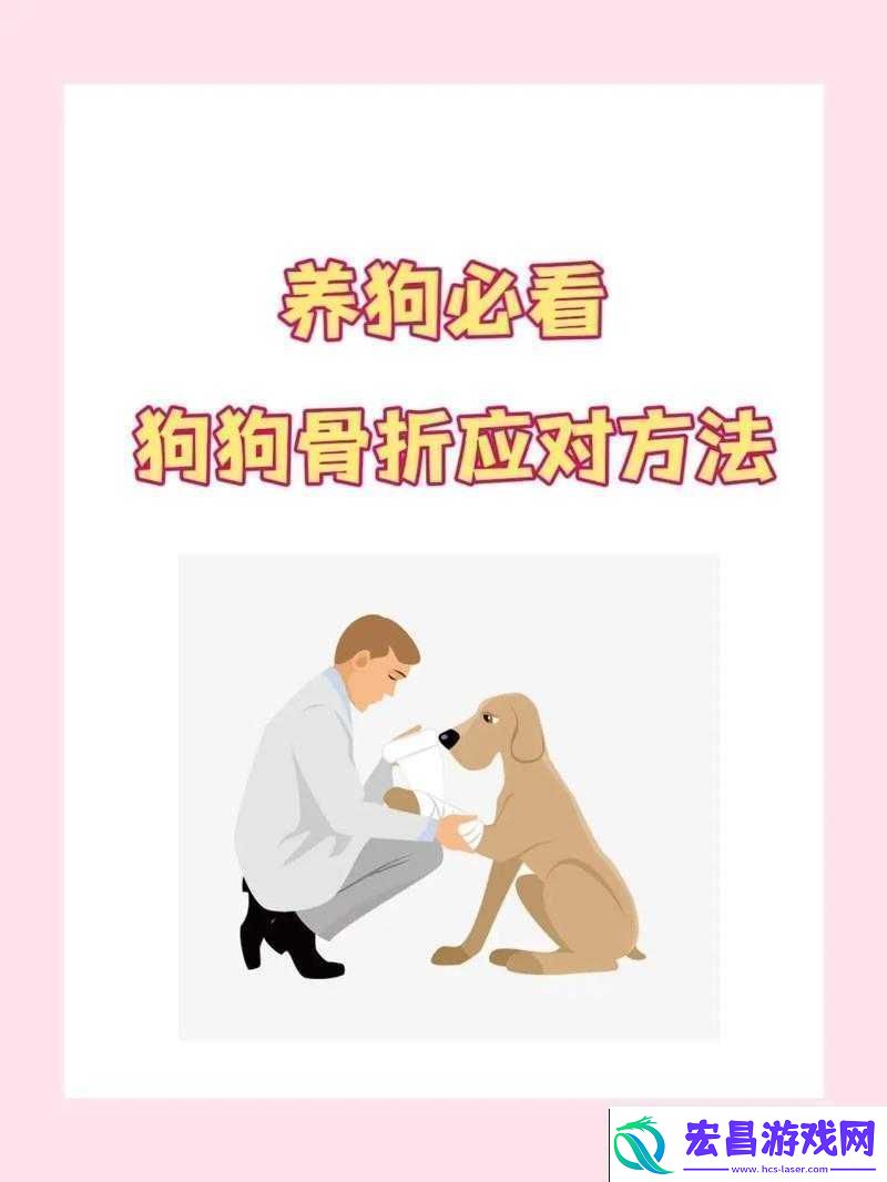 狗卡私处怎么办