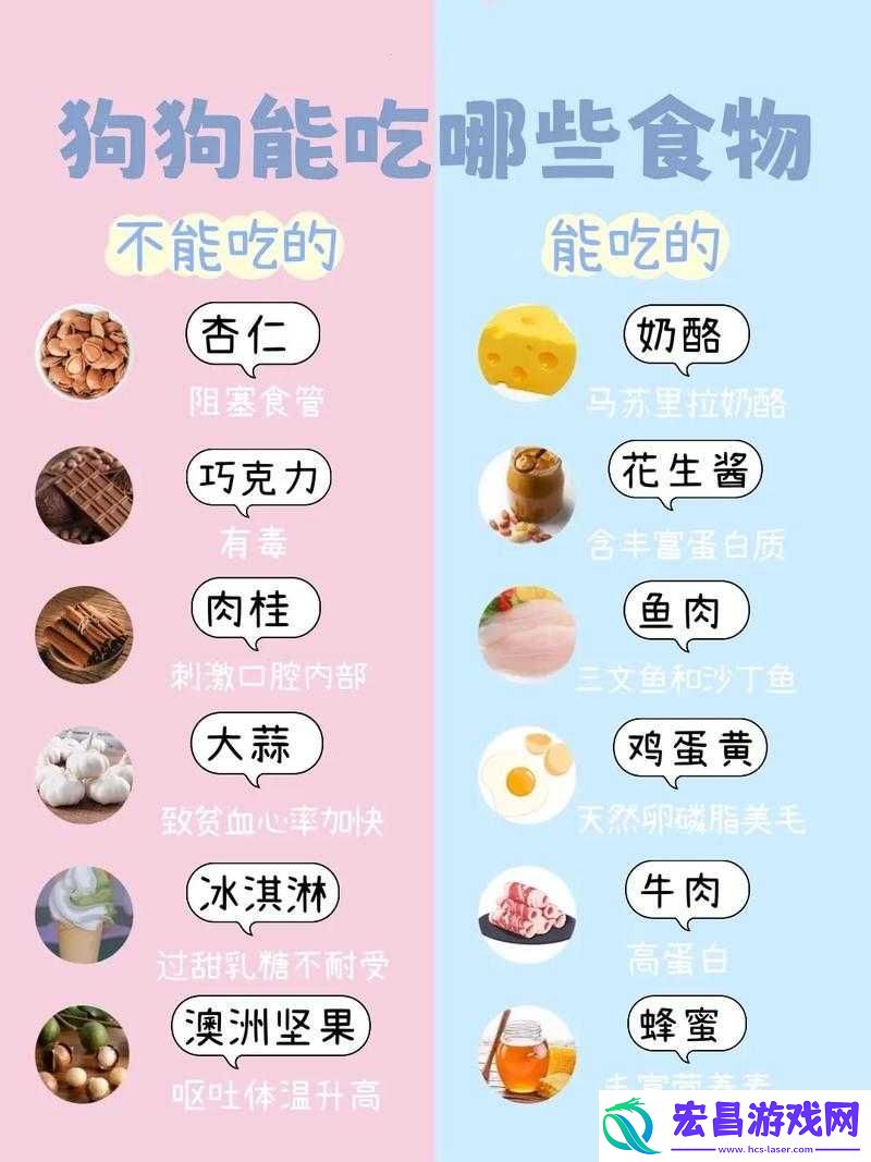 人狗胶配方大全狗狗播放之相关介绍