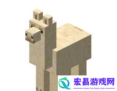 我的世界