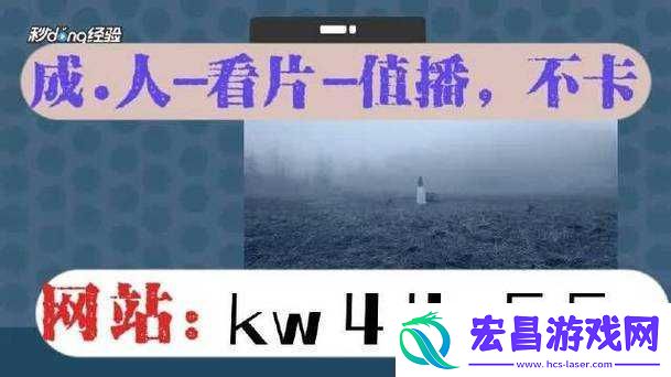 搞机
