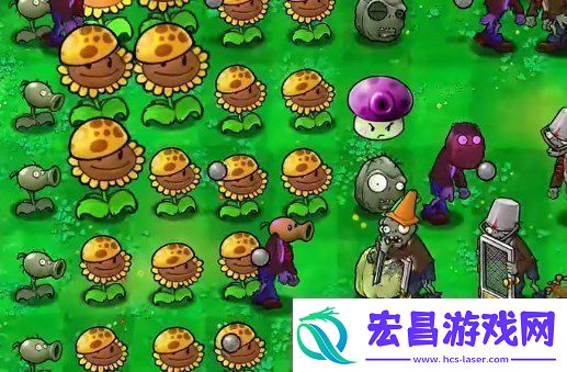 植物大战僵尸杂交版挑战第40关如何闯关植物大战僵尸杂交版挑战模式第40关通关攻略