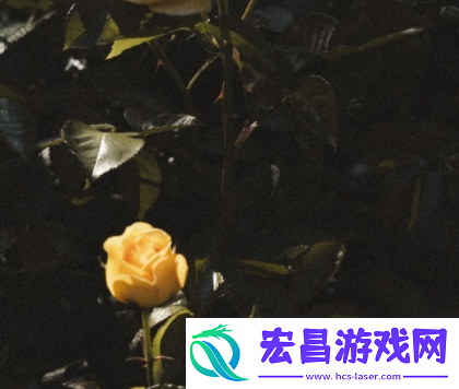 能够让你度过分手期的治愈文案分手后能够治愈你的说说
