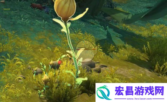 魔兽世界调味生活任务怎么做