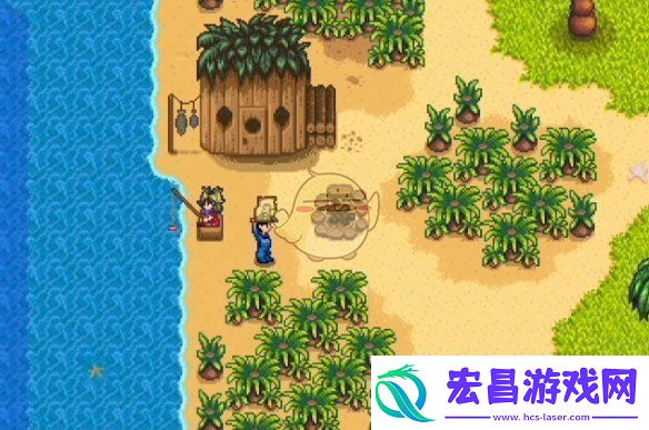 星露谷物语海盗的妻子任务怎么做海盗的妻子任务攻略