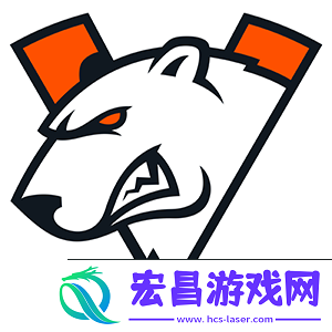 MIBR教练
