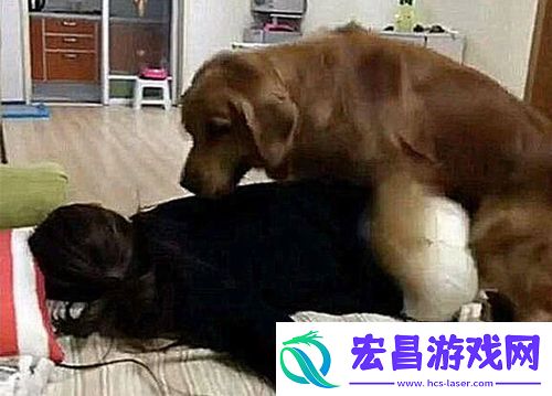 女人跟金毛发生产关系怎么办