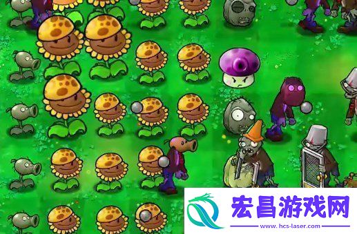 植物大战僵尸杂交版挑战第40关如何闯关植物大战僵尸杂交版挑战模式第40关通关攻略