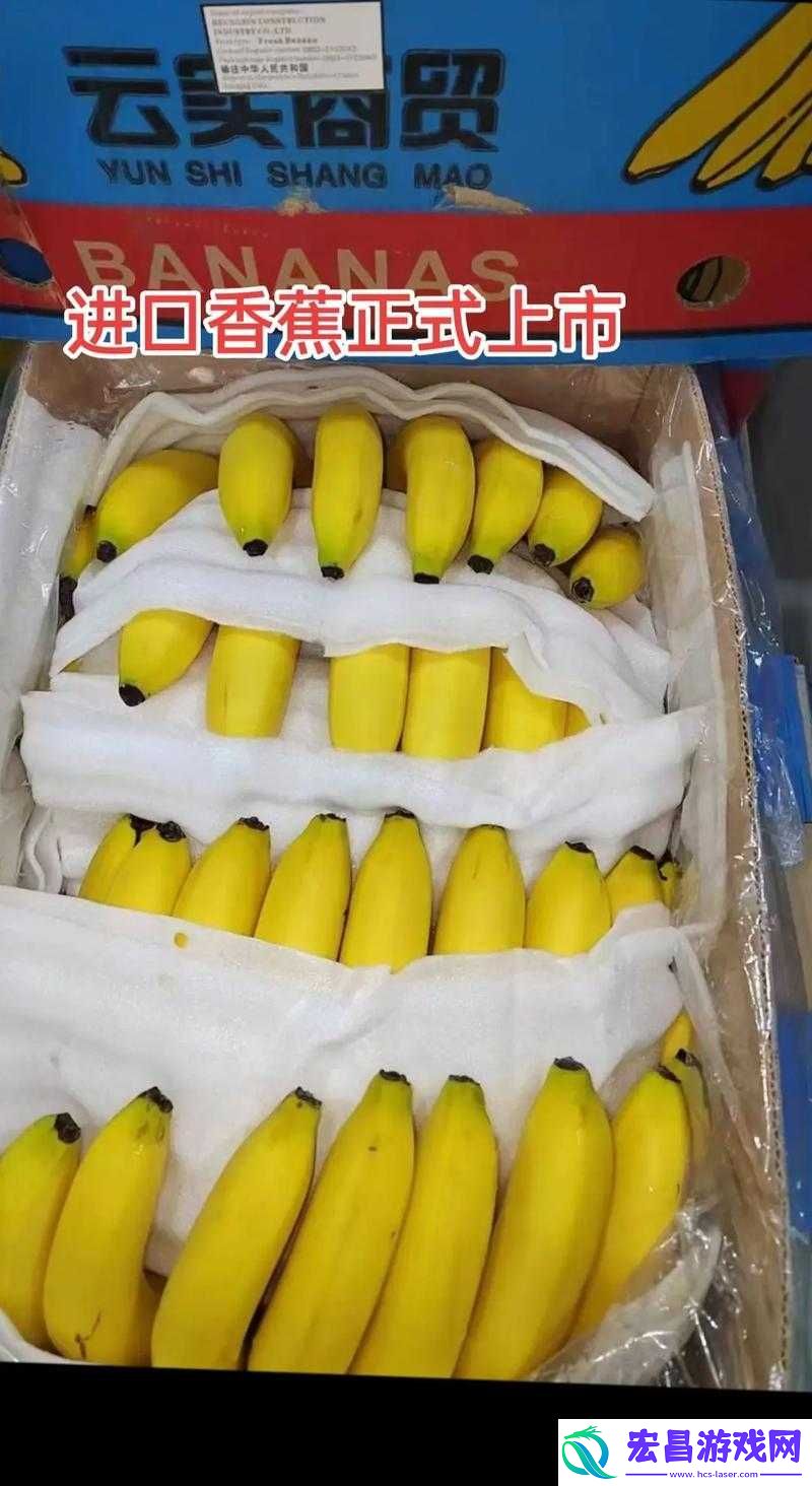 国产香蕉与进口香蕉价格大对比