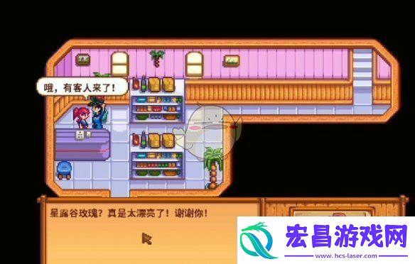星露谷物语海盗的妻子任务怎么做海盗的妻子任务攻略