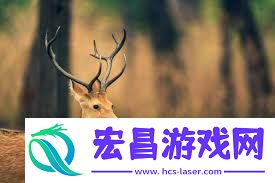 鹿心杜