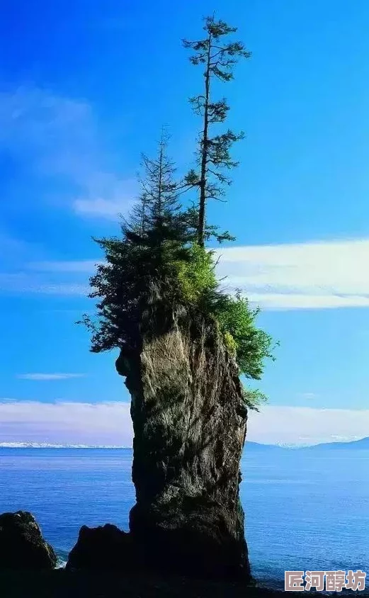 海角绿意盎然披风少年