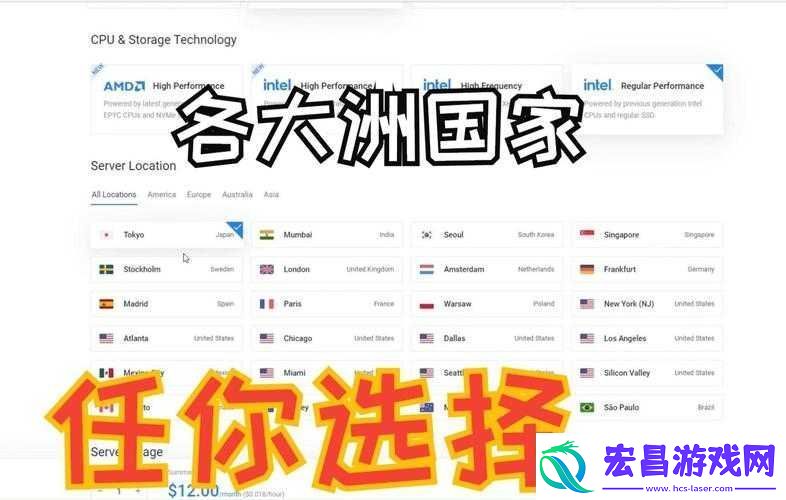 国外免费网站服务器查询功能介绍及使用指南
