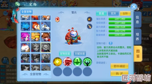 天书奇谈觉醒宠物系统深度解析