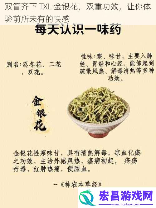 双管齐下TXL金银花双重功效让你体验前所未有的快感