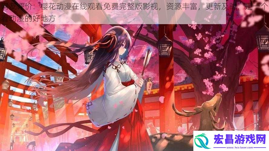 网友评价