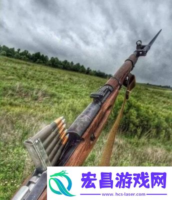 98K与莫辛纳甘哪个更适合你
