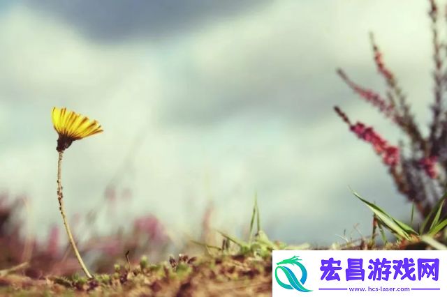 身处日常久久久婷婷的感悟和追求从生活琐事到心灵成长的不断探索和挑战