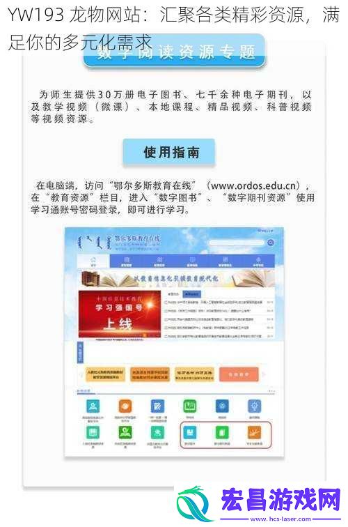 YW193龙物网站