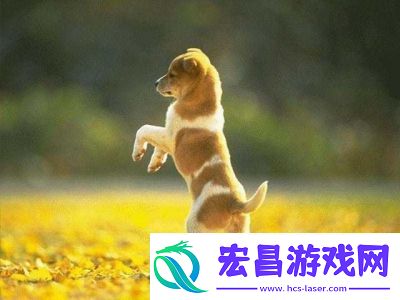 生存挑战