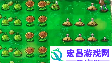 植物大战僵尸抽卡版1