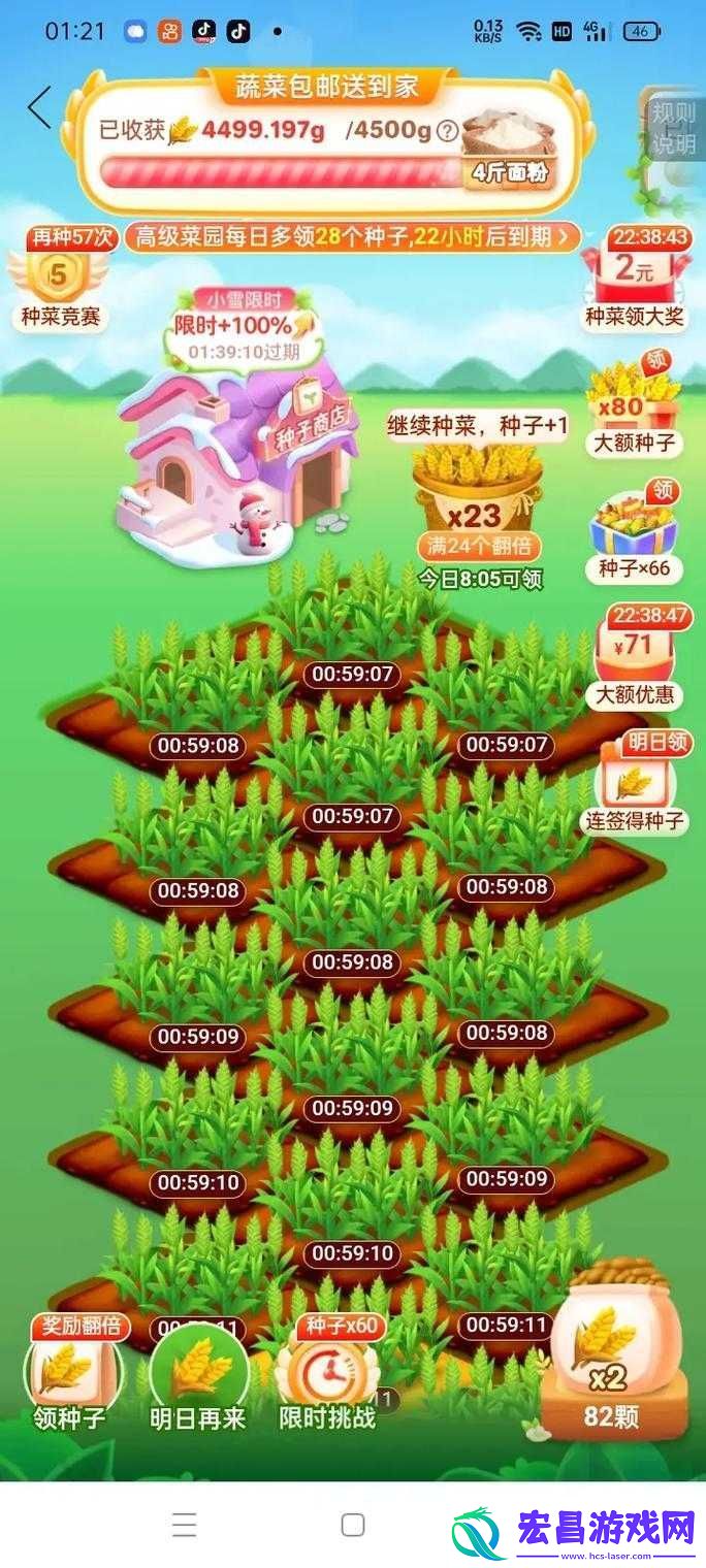 一小时人生中小麦种法之浇水要点与详细步骤全解析