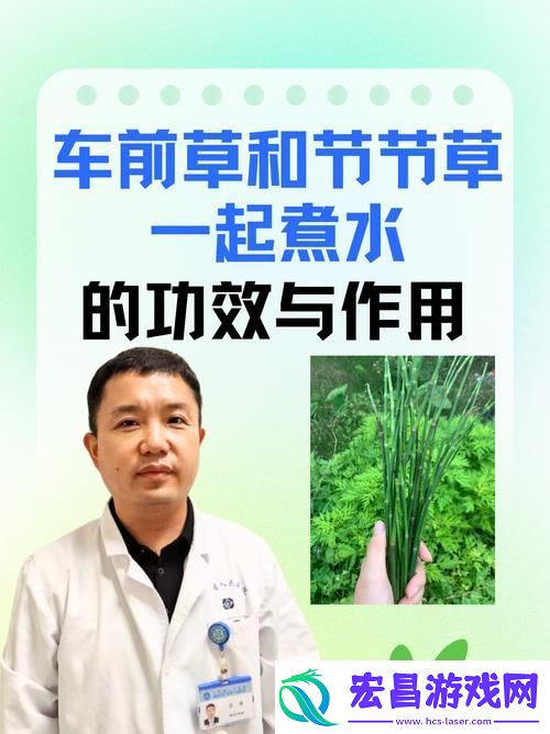 嫩叶草一区二区三区的区别