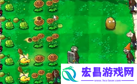 植物大战僵尸抽卡版1