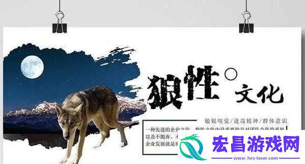 欧美小马拉大车**