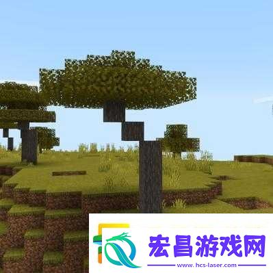 我的世界金合欢树位置详解