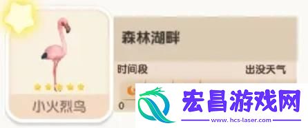 心动小镇小火烈鸟位置在哪