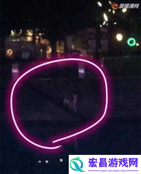 呦呦**事件引发热议